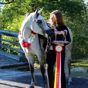 Meet your Posher, Barbara